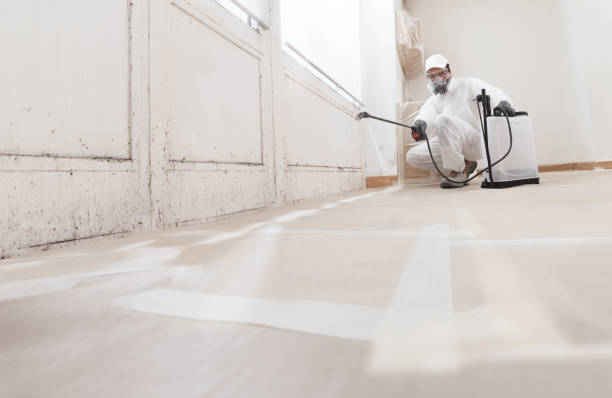24/7 Emergency Attic Mold Removal experts in Reedsville, PA